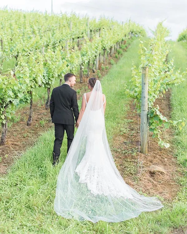 Wedding photos in the vineyard at Creek's Edge Winery.
