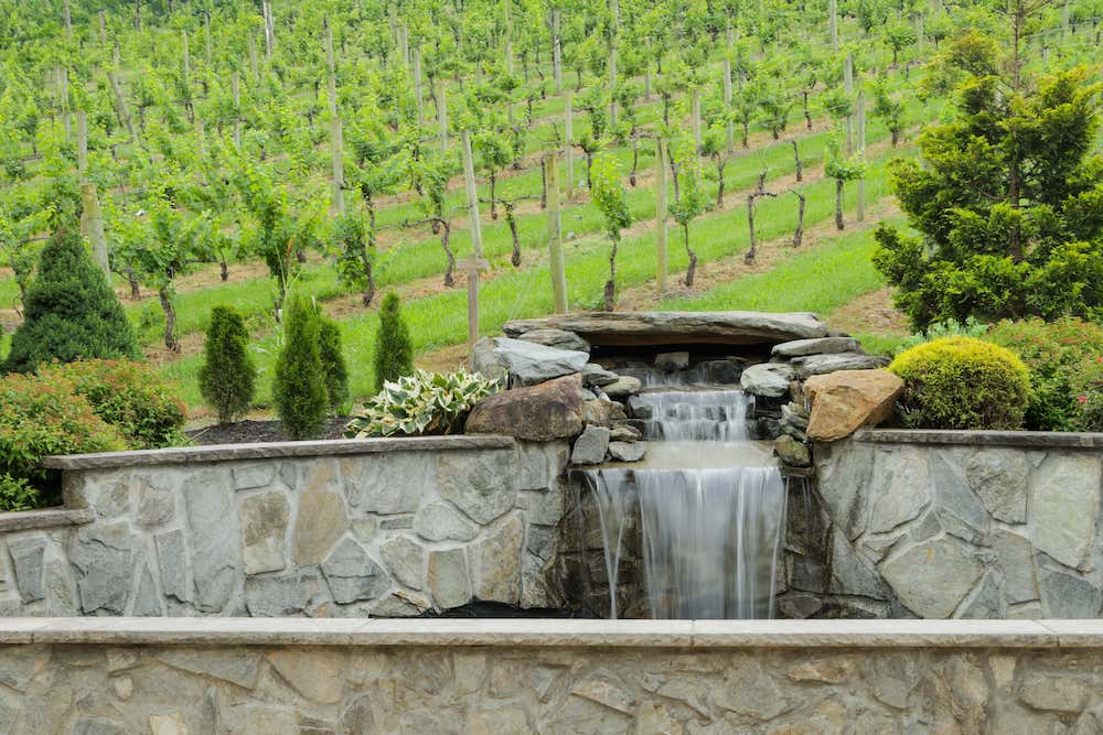 The vineyard at Creek's Edge Winery.