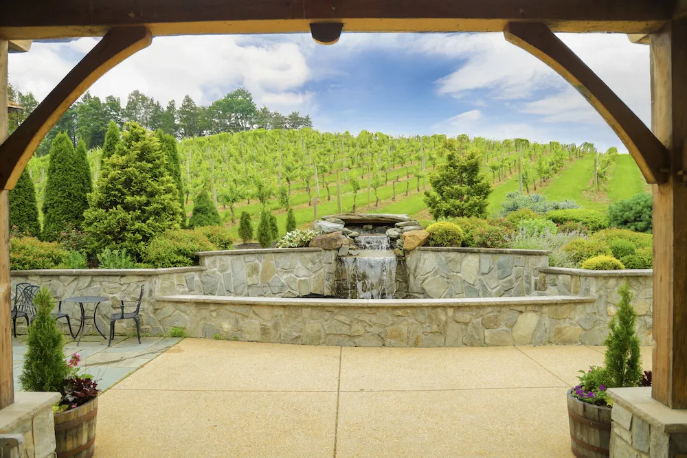 The vineyard at Creek's Edge Winery.